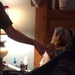 Mason Dees - @mason_dees23 - Instagram