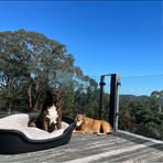 Mason Dempsey - Facebook