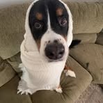 Mason Dempsey - Facebook