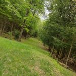 Mason Doherty - @mason.doherty.14 - Instagram