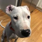 Mason Dowdy - @rubber_lizard323 - Instagram