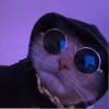 Mason Dowdy - @mason_dowdy06 - TikTok