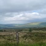 Mason Duffy - @mason82219 - Instagram