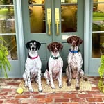 Jill Mason Dunlap - @bailee6050 - Instagram