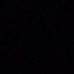 mason east - @mason_dog1027 - Instagram