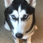 Mason East - Facebook
