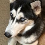 Mason East - @masoneast1 - Instagram
