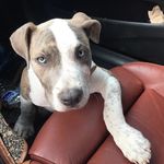 Mason Eddy - @masoneddy7 - Instagram