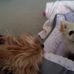 Manson Ellenberger - Facebook