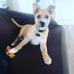 mason ervin - @drmasonstien - Instagram