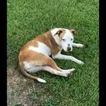 Mason Ervin - @ervmason - Instagram