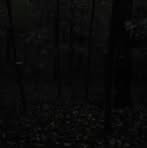 Mason Estep - Facebook