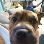 Mason Estes - Facebook
