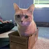 mason - @mason.estes - TikTok