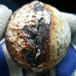 Mason Farmer - @og_spazzz - Instagram