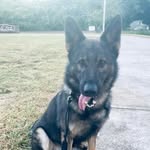 Mason Farmer - @masonfarmer208 - Instagram