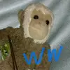 mason8farris - @wiggitywand - TikTok