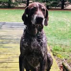 Mason Farris - Facebook