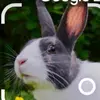 Maso - @masonfiddler - TikTok