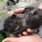 Mason Flint - @_mason_flint_ - Instagram