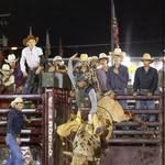 Mason Freeman - @masonfreeman8139 - Instagram