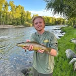 Mason Freeman - @mason_freemann - Instagram