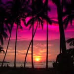 Garrison Mason - @garrison.mason.549 - Instagram
