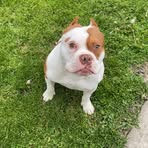 Mason Gates - Facebook