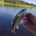 Mason Geer - @mason.geer.94 - Instagram