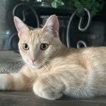 Mason Genova - @masongenova_ - Instagram