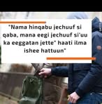 Muzeyan Gena - Facebook