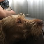 Mason George Robinson - @masongeorgerobinson - Instagram