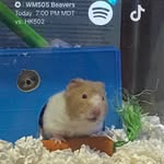 Mason german - @masongerman8 - Instagram