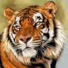 Glenn Mason - @glenn.mason - TikTok