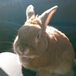 Mason Glickman - @masonglickman - Instagram