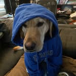 Mason Goff - @707masong65 - Instagram