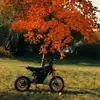 MasonGoff80 - @masongoff8 - TikTok