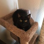 Mason Goode - @goode4816 - Instagram