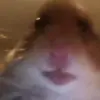 Mason.goodfellow - @mason.goodfellow - TikTok