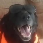 Mason Goodwin - @mason.goodwin7 - Instagram