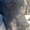 Mason - @mason.goodwin7 - TikTok