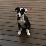 Mason Goretzki - @goretzkimason - Instagram