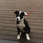 Mason Gotetzki - @mason_goretzki - Instagram