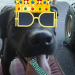 mason - @mason_gott_fans - Instagram