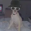 mason.grainger1 - @mason.grainger1 - TikTok