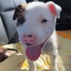 Mason Grant - Facebook