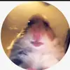 Mason Grant - @masongrant4 - TikTok