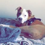 Mason Alexander Graves - @masongraves1234 - Instagram