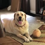 Mason - @_masongriffith - Instagram