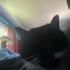 Mason Griffith - @mason.griffith88 - TikTok